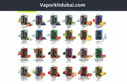 Vozol Vista 20000 puffs Dubai authentic disposable vape 50mg nicotine