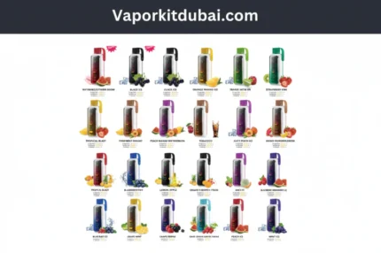 Vozol Star 20000 Puffs Disposable Vape 50mg Dragon Mart Vape Dubai