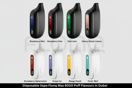 Malaki FLONQ disposable vape 10000 puffs Dubai